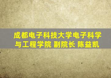 成都电子科技大学电子科学与工程学院 副院长 陈益凯